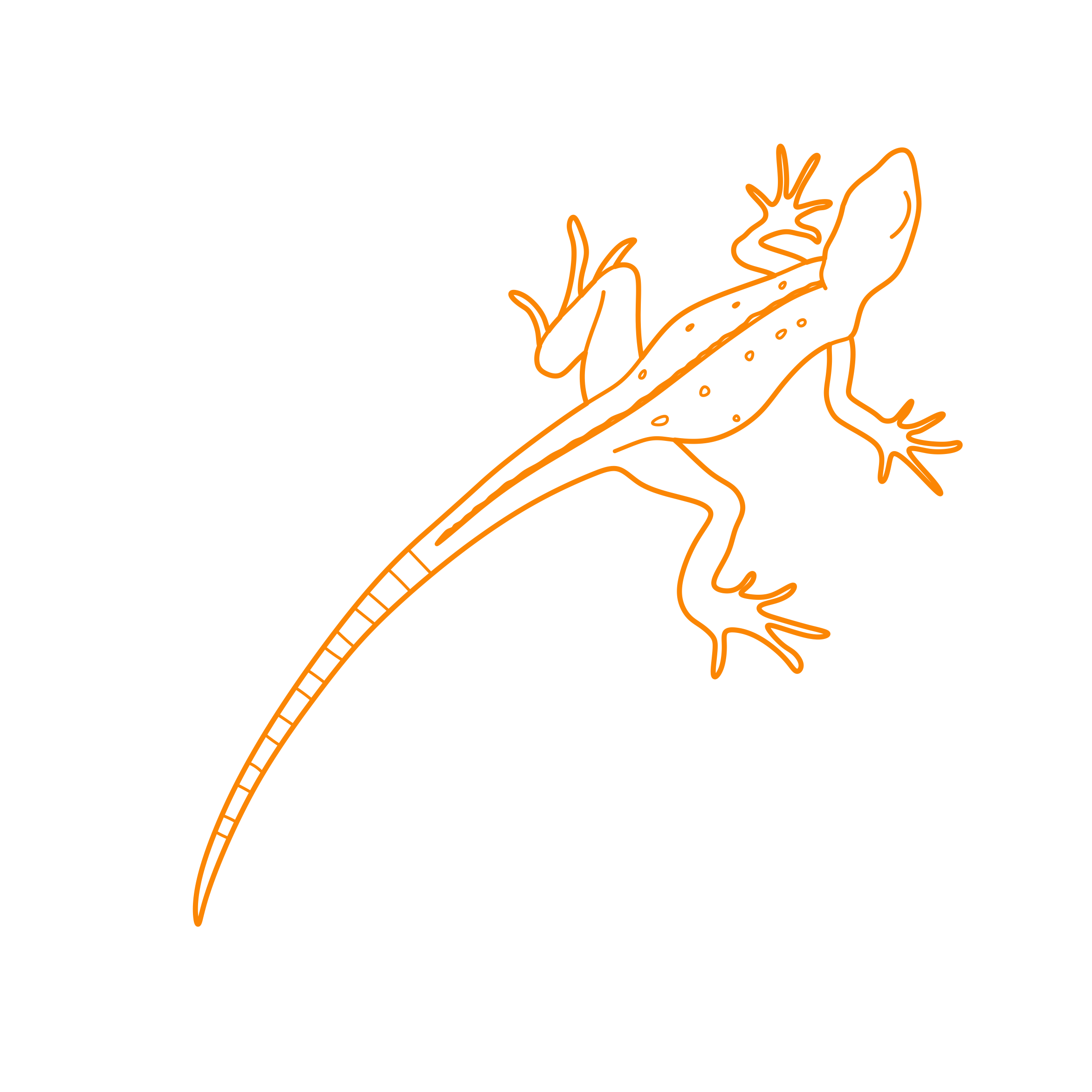 Animals Lizards Green Basilisk Outline Icon Svg Set Free Vectors